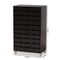 Baxton Studio Ernest Modern and Contemporary Dark Brown Finished Wood 2-Door Shoe Storage Cabinet 178-11027-Zoro - alternate 9